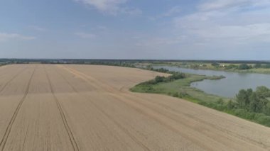 Resimli buğday tarlası. Hava görünümü
