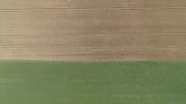 Resimli buğday tarlası. Hava görünümü