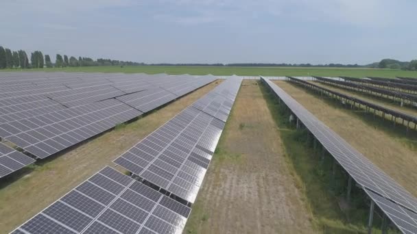 Troupeau Moutons Pâturant Sur Territoire Centrale Panneaux Solaires — Video