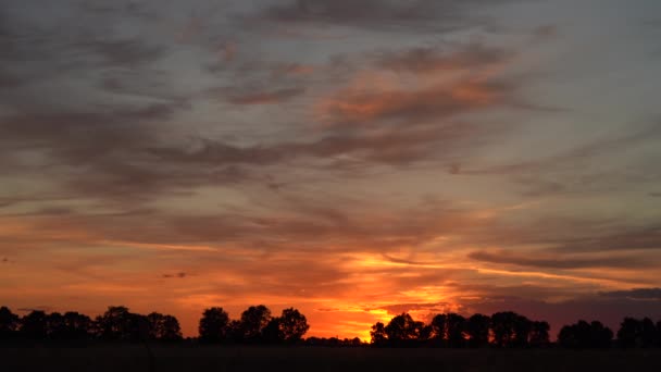 Оранжевое Небо Красочный Вечер — стоковое видео