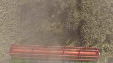 Havadan. Tarım işi. Hasat makinesi buğday mahsulünü topluyor..