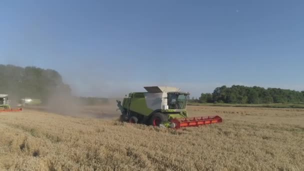 Powietrza Praca Rolnictwie Łączy Kombajn Zbiera Uprawy Pszenicy — Wideo stockowe