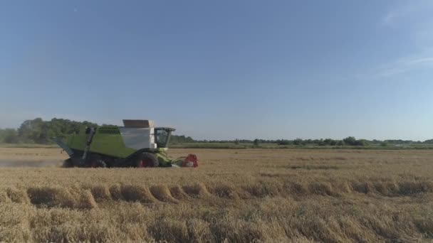 空中だ 農業労働 収穫者を組み合わせることで小麦作物を集める — ストック動画