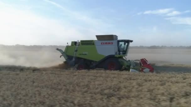 Letecký Zemědělské Práce Kombináty Sklízející Pšenici — Stock video