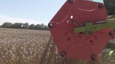 Tarım işi. Hasat makinesi buğday mahsulünü topluyor..