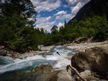 Vahşi nehir Kapruner Ache hızla Kaprun, Avusturya, Avrupa 'ya akar. Avusturya Alpleri 'ndeki Hohe Tauern Ulusal Parkı' ndaki aileler için en iyi yürüyüş yeri..