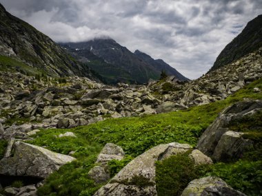 Kalser Tauern yolu üzerindeki Alp Vadisi manzaralı küçük ve güzel şehir Kals, Avusturya, Avrupa. Ulusal park Hohe Tauern. Alplerin göbeğinde aile tatilleri için en sevilen yer..