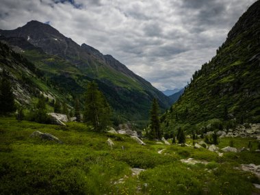 Kalser Tauern yolu üzerindeki Alp Vadisi manzaralı küçük ve güzel şehir Kals, Avusturya, Avrupa. Ulusal park Hohe Tauern. Alplerin göbeğinde aile tatilleri için en sevilen yer..