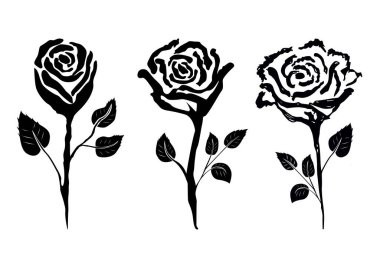 14-01 el çizilmiş gül çiçeği seti