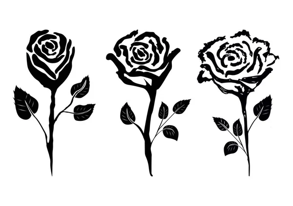 stock vector 14-01 hand drawn rose flower set