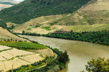üzüm üzüm bağları hills Nehri ile