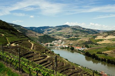 üzüm üzüm bağları hills Nehri ile