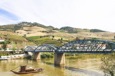 29 Nisan 2016 - Regua, Portekiz: Regua bağ Portug bölgede