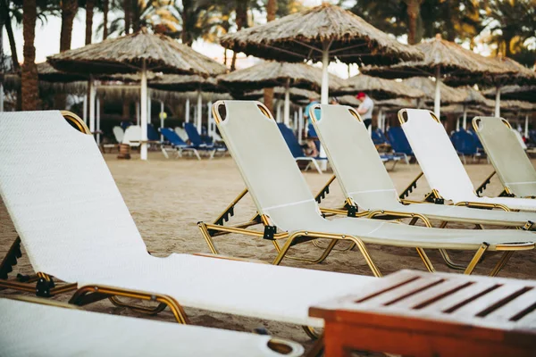 Loungers on the beach on sand — Stock Photo, Image