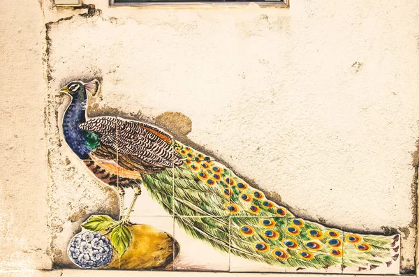 马约利卡墙与爪鸟在葡萄牙 — 图库照片