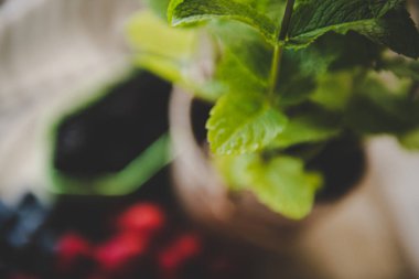 arka planda çilek ile taze nane yaprakları, yakın 