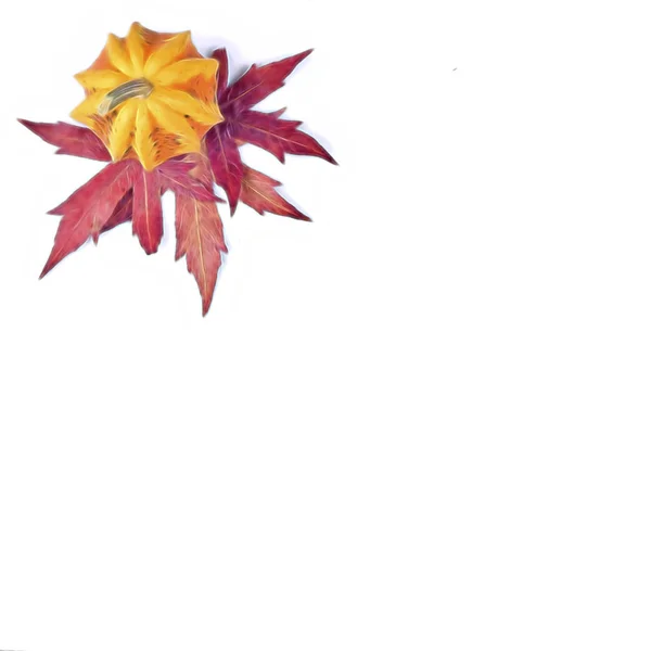 Mini Abóbora Colorida Decorativa Artística Cabaças Folhas Vermelhas Queda — Fotografia de Stock