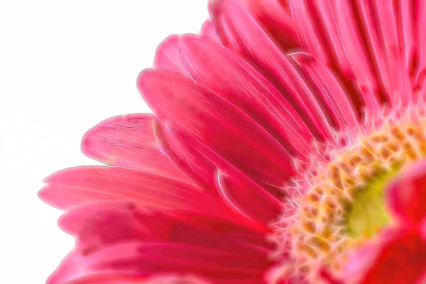 Gerbera artistique fond de fleur Images De Stock Libres De Droits