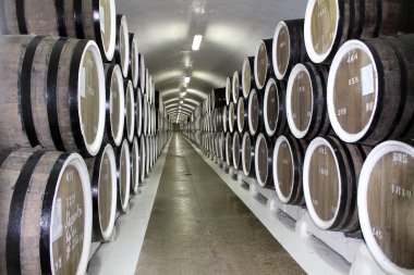 Massandra şaraphanesinin bodrumunda şarap fıçıları var.