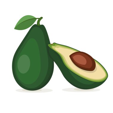 Meyve avokado ağacı, bir bütün ve bir kesim. Öğeleri gruplar halinde. 