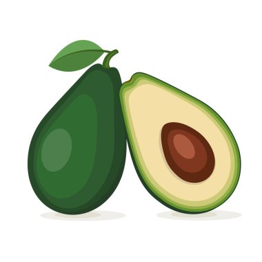 Meyve avokado ağacı, bir bütün ve bir kesim. Öğeleri gruplar halinde. 