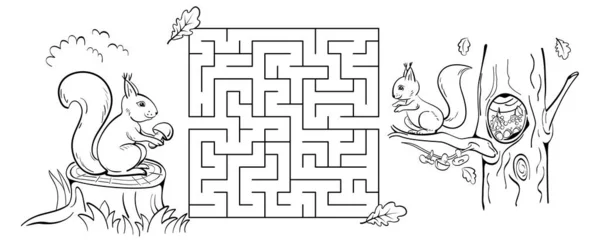 Jeu Labyrinthe Avec Des Écureuils Aidez Écureuil Amener Champignon Creux — Image vectorielle
