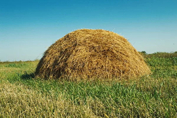 Haycock Field Agricultural Land Blue Sky — Stock Photo, Image