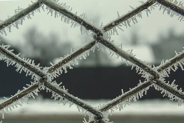 Limitare Spazio Della Recinzione Recinzione Condizioni Meteorologiche Estreme — Foto Stock