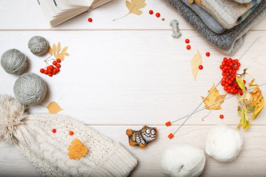 Sıcak gri ve mavi kazak. Beyaz örgü şapka. Beyaz ve gri iplik düğüm. Örgü iğneleri. Kırmızı üvez. Sarı sonbahar yaprakları. Örgü Rehberi kitap. Üstten görünüm. Açık renkli. Düz yatıyordu.