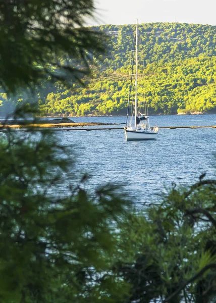 Güzel yelkenli için seyahat Hırvatistan 1000 adaların yeni prolonge için biraz yakıt ve su eklemek için Shibenik liman olacak