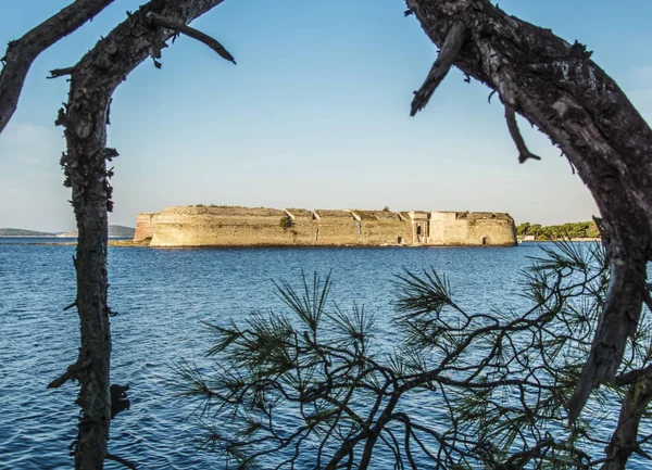 Old Nicholas Fortress Adiatic Sea Shibenik Tree Branches Croatia — Stock Photo, Image