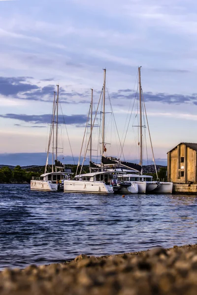 Shibenik, Hırvatistan yakınındaki denizcilerin 4 gruplarının nice takım ile akşam Harbor'da Katamaran