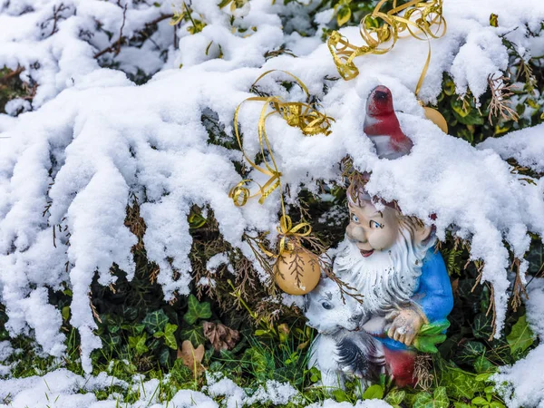 Güzel gnome Çek Cumhuriyeti'nde Noel için bekliyor