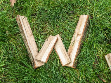 Doğal meşe yapılmış alfabesinden İngilizce harf W