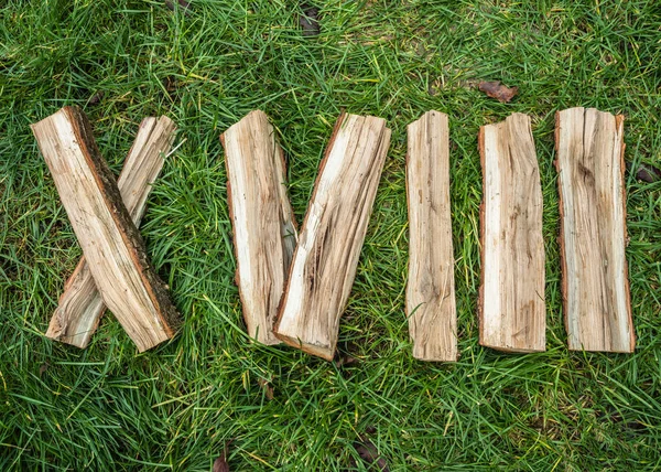 Roman numeral. Roman numerals made from oak. Old wood numbers. Old roman antique alphabet number on green grass background. Number eighteen.