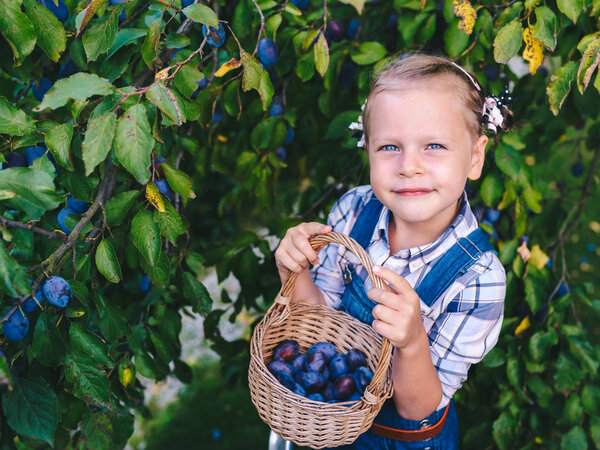 Забавная маленькая девочка с корзиной, полной слив, стоящих на лестнице
