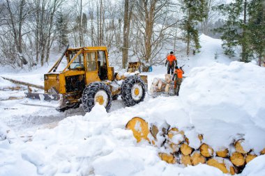 Jaworki, Polonya - 26 Ocak 2019; Ormancılık traktör ve dağ orman ahşap günlükleri verme kış sezonu boyunca sırasında oduncu