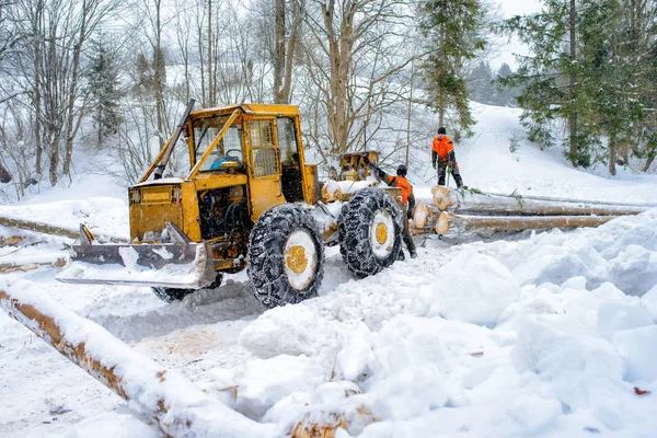 Jaworki Lengyelország 2019 Január Erdészeti Traktor Favágók Téli Szezonban Fából — Stock Fotó