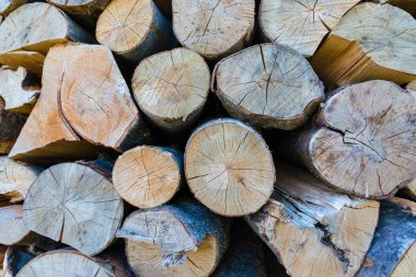 Arkaplan olarak istiflenmiş tahta kütükleri duvarı