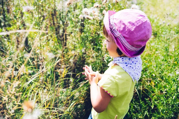 Маленькая девочка молится на летнем зеленом лугу — стоковое фото