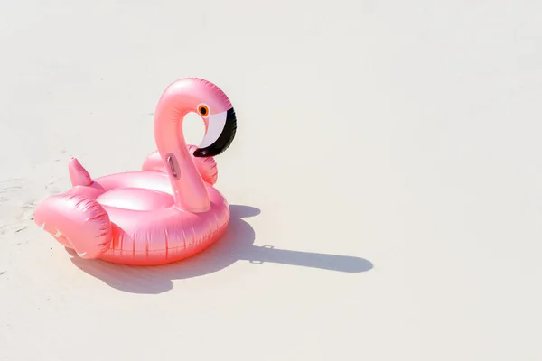 Rosafarbener Flamingo am Sandstrand — Stockfoto