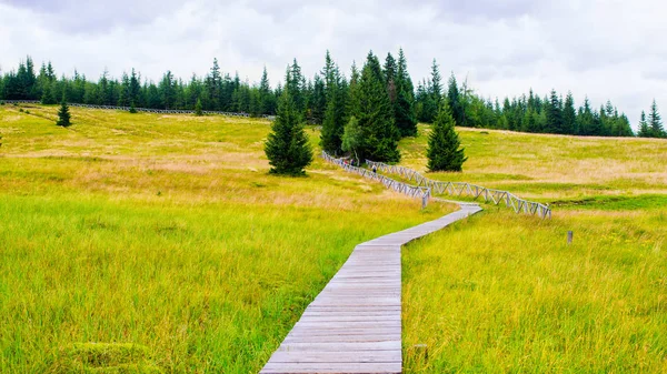 Wooden Mountain Trail Marshes Peat Bogs Leading Pilgrims Stone Formation — Stockfoto