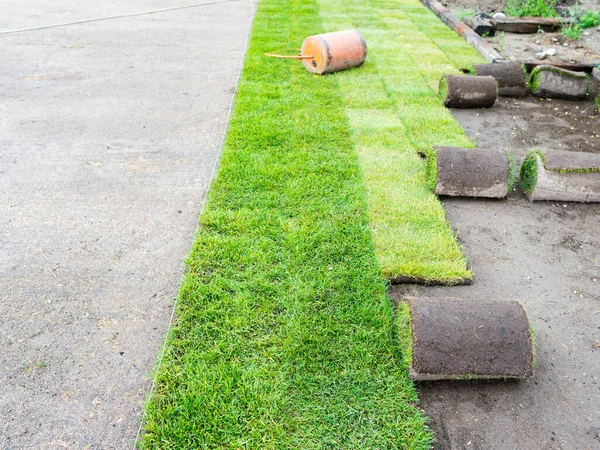 Zielona Trawa Ogrodzie Układanie Trawnika Bułki Darń Nowy Trawnik — Zdjęcie stockowe