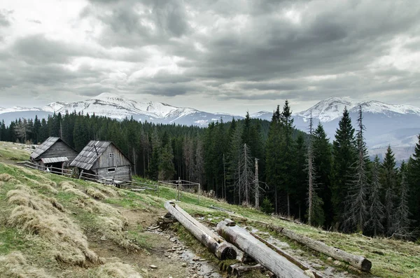 Пейзаж Гора Природа Лес Небо Горы Зеленый Дерево Лето Дорога — стоковое фото