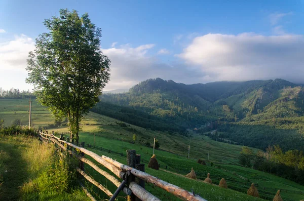 Carpathians Sıcak Sabah Sabah Dağlarda Dağ Vadisi — Stok fotoğraf