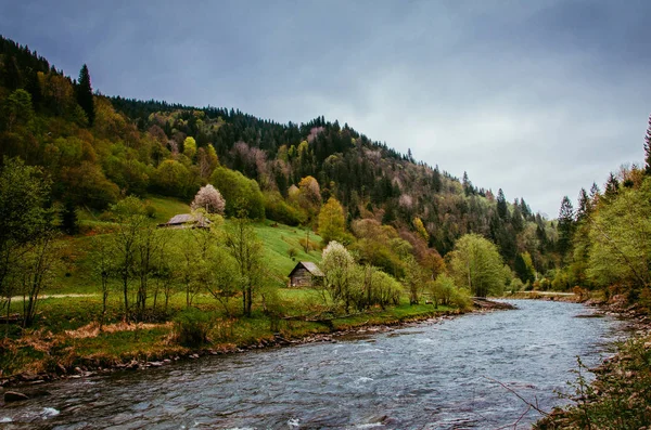 Autumn Day Ukrainian Carpathians Mountain River Mountain Village River Old — Stock Photo, Image