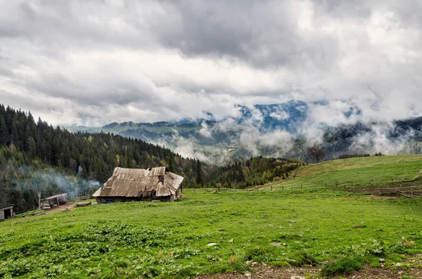 Morning in the clouds in the mountains of the Ukrainian Carpathians. Clouds in the mountains. Mountain shepherd.