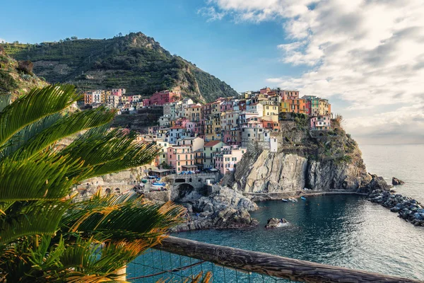 Mejor Panorama Italia Manarolla Costa Liguria Parque Nacional Cinque Terre —  Fotos de Stock