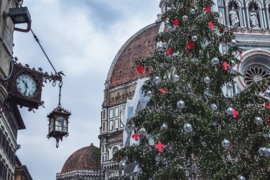 Floransa 'da Noel ağacı, Floransa' da Noel ağacı, Floransa ana ağacı, Toskana, Floransa, İtalya