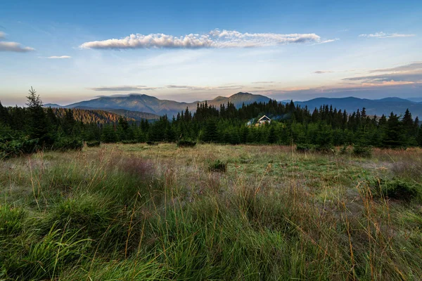 Manhã nebulosa nas montanhas dos Cárpatos, Ucrânia. Velha casa de madeira nas montanhas. Floresta de abeto nos Cárpatos ucranianos. — Fotografia de Stock